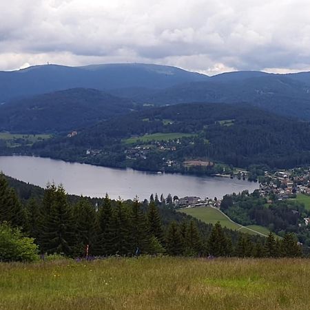Apartament Friedolin Im Baerenhuesli Titisee-Neustadt Zewnętrze zdjęcie