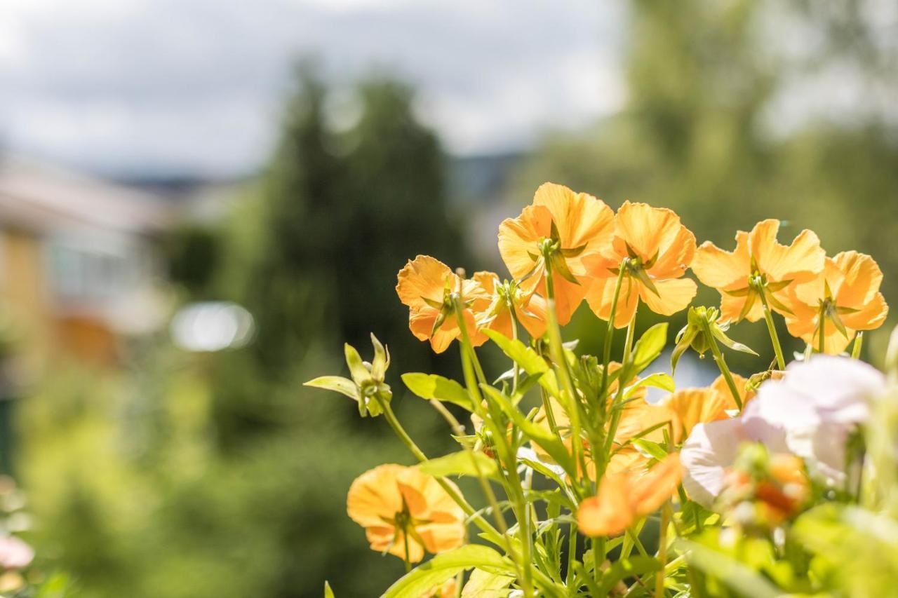 Apartament Friedolin Im Baerenhuesli Titisee-Neustadt Zewnętrze zdjęcie